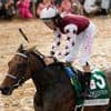 Thorpedo Anna, reigning Horse of the Year, to visit clinic after surprise loss