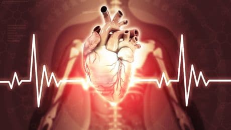 Neue Studie zeigt: Unterschätztes Symptom erhöht Herz-Risiko – ab 50 Jahren sollten Sie einen Test machen