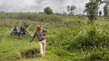 Au Kenya, des chasseurs-cueilleurs expulsés de leurs forêts ancestrales