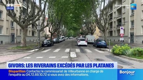 "Est-ce qu'il faut attendre qu'il y ait un mort?": des habitants de Givors excédés par des platanes
