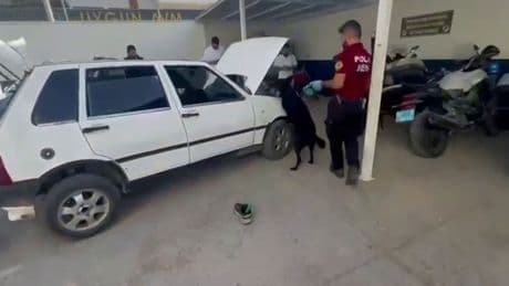 Turizm bölgelerine uyuşturucu ticaretine polisten darbe