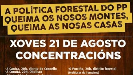 Yolanda Díaz se manifestará en la calle por los incendios contra la Xunta tras no lograr un solo escaño en el Parlamento gallego