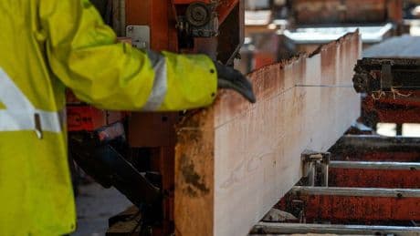 Trump could crush Canada's softwood exports. Here's how a new crisis could play out