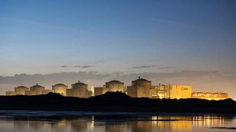Quallen legen größtes französisches Atomkraftwerk lahm