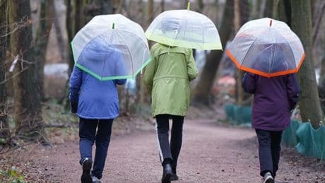 Wetter in Niedersachsen: Schauer und Gewitter angekündigt