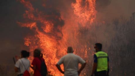 Incendios en España hoy, en directo | Once carreteras, dos nacionales en Orense y Cáceres, siguen cortadas por el avance de las llamas