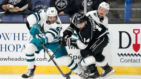 Er ist ein NHL-Spätzünder - Dresden sorgt für Überraschungs-Transfer