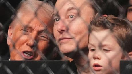 Musk besucht mit vierjährigem Sohn und Trump Kampfsport-Spektakel