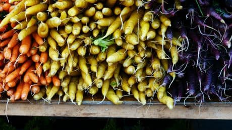 Farmers win legal fight to bring climate resources back to federal websites