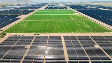 Letters to the Editor: Williamson Act has made a legal 'mess' for California's farmland and solar