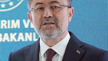 "Orman yangınlarına ilişkin dezenformasyon devam ediyor"