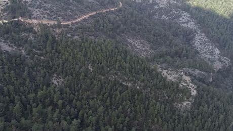 Bodrum'da 239 bin metrekare ormanlık alan imara açıldı
