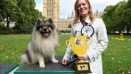 Meet the ‘pawlitician’ crowned Westminster’s Dog of the Year