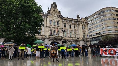 Santander vive la manifestación más grotesca: unas decenas de animalistas aúllan por los lobos