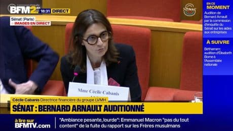 LVMH auditionné au Sénat: "4 milliards d'euros" d'impôts en France sur l'année 2023