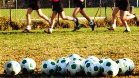 Salute, il cardiologo: "Stress da finali sportive? Nel calcio mette a rischio le coronarie"