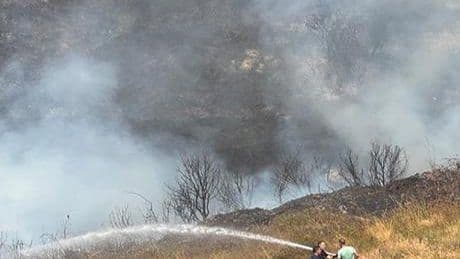 Kocaeli'de otluk alanda yangın! Alevler evlere sıçradı