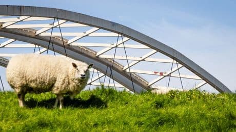 Renovatie Van Brienenoordbrug minstens twee keer zo duur als gedacht