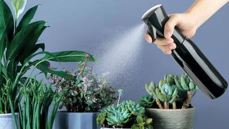 Refresca tu mundo con un solo spray con los mejores pulverizadores de agua