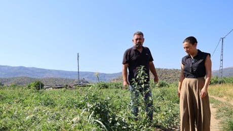 Satılmayınca kilosunu 1 TL yaptılar