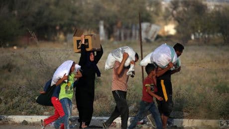 A harrowing journey to find food in Gaza