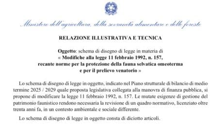 Legge spara-tutto sulla caccia, per Lollobrigida sono solo bugie: ecco le bozze (della sua riforma) che lo smentiscono