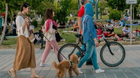 „Schädigt islamische Kultur“ – Mullah-Regime im Iran verbietet Gassigehen mit Hunden