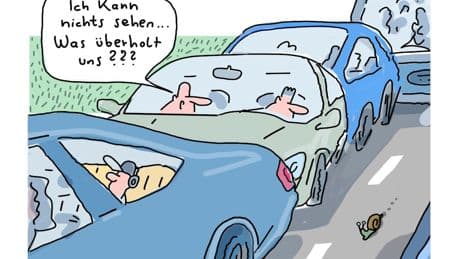 Cartoon: Meissners Strategen