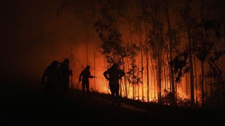 Southern Europe wildfires leave 3 dead, thousands displaced