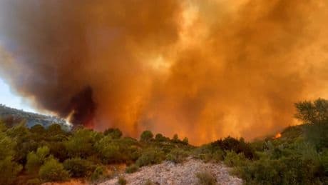 El incendio de Francia está en fase de control y no suma más víctimas