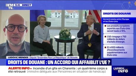 Accord UE-États-Unis: "On ne peut pas accepter cet accord tel quel", estime Ludovic Mendes, député "Ensemble pour la République"