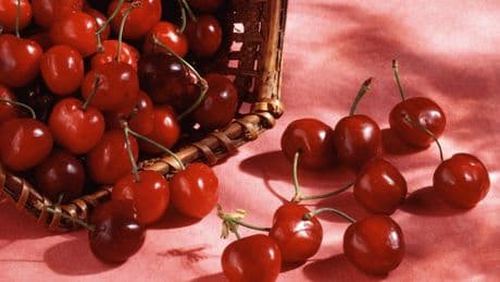 In Puglia il gelo mette a rischio il 70% della produzione di ciliegie