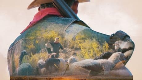 Dijital Detaylar'da 27 film finale kaldı