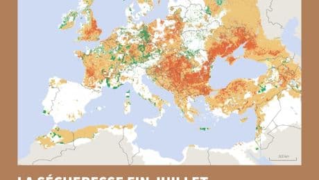 Record de sécheresse en Europe : plus de la moitié de l'Europe affectée depuis avril