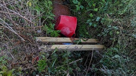 Decapitated dog found dumped in shallow ditch