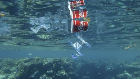 Le « One ocean science congress » de Nice, un congrès scientifique pour sauver l’océan