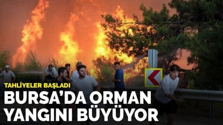 Bursa’da orman yangını büyüyor: Tahliyeler başladı