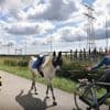 Stroomprijs daalde vorig jaar met bijna een vijfde, prijzen steeds vaker negatief