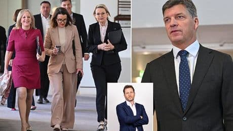 The party assassins after Sussan Ley: Insiders tell PVO they already have the numbers with a successor in the wings. The only question is when they'll strike...