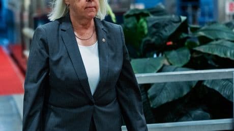 Fed Up With Netanyahu and Handling of Gaza War, Democrats Rebuke Israel