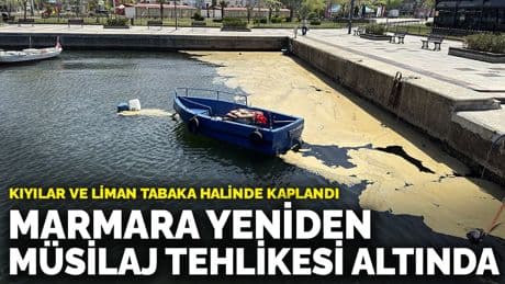 Marmara yeniden müsilaj tehlikesi altında: Kıyılar ve liman tabaka halinde kaplandı