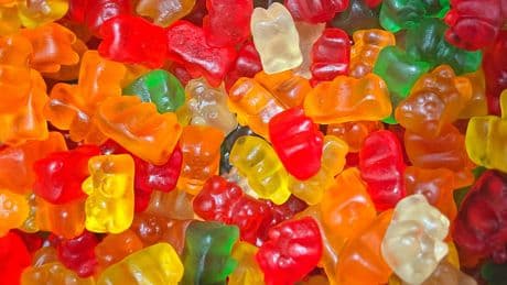 Gummibärchen und Schlachtabfälle: Was wirklich in der Gelatine steckt