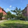 Rosengarten bald mit Rosen: Neugestaltung der eher tristen Grünanlage im Norden Berlins beginnt