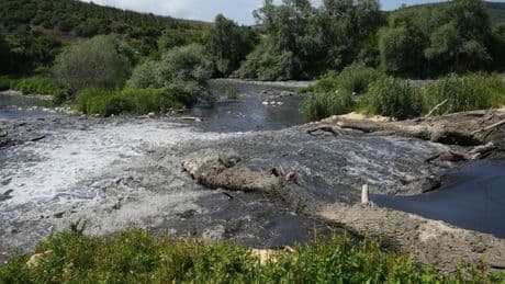 Katran karası akıyor, 'Marmara'nın zehri 'Nilüfer'den