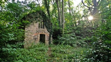 Dilapidated 500-year-old cottage which once appeared in iconic 90s music video hits market – do you recognise it?