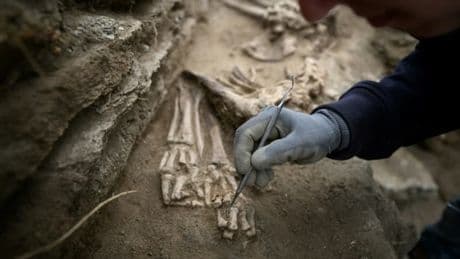 Vieux de 15.000 ans... Le squelette du plus ancien chien de France découvert dans une grotte en Ardèche