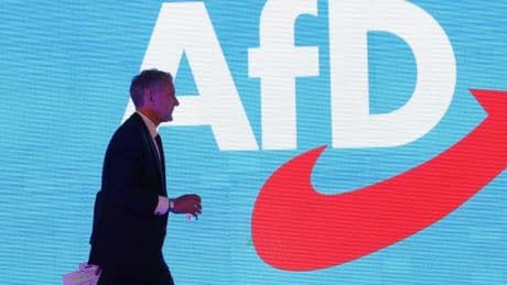 „Die AfD würde ein Verbotsverfahren total ausschlachten“