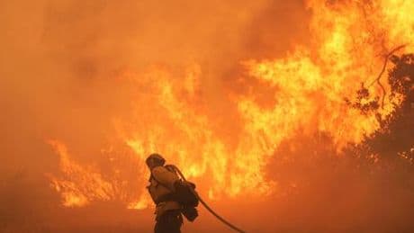 USA: Feuerwehr meldet Erfolge im Kampf gegen »Canyon Fire«
