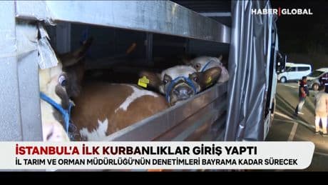 İstanbul’a ilk kurbanlıklar giriş yaptı