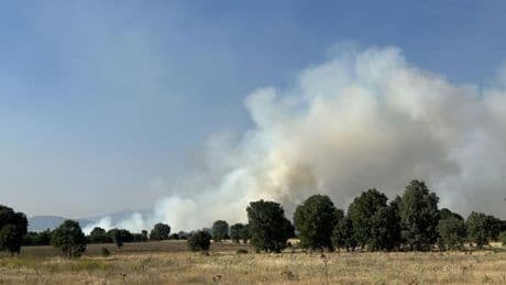 Uşak’ta orman yangını: 2 kişi gözaltına alındı